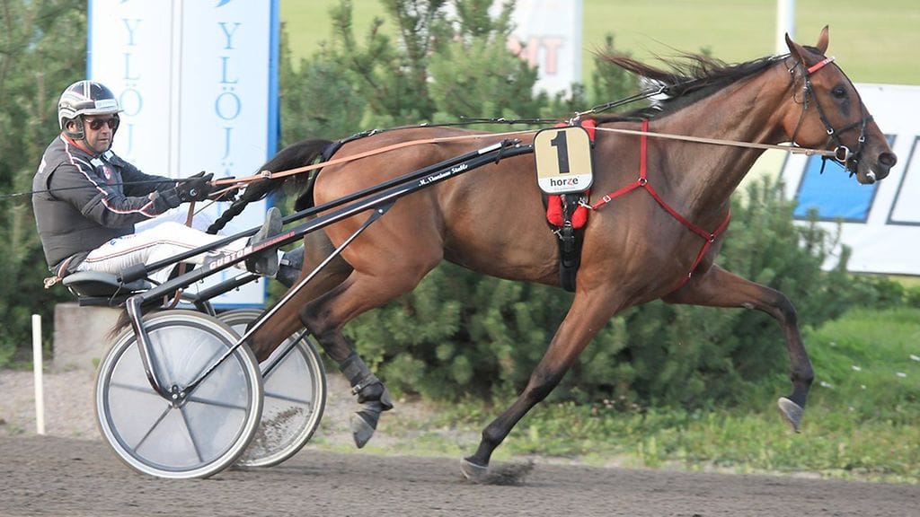 Markku Nieminen uskoo finaalissa eniten Callela Elizaan.