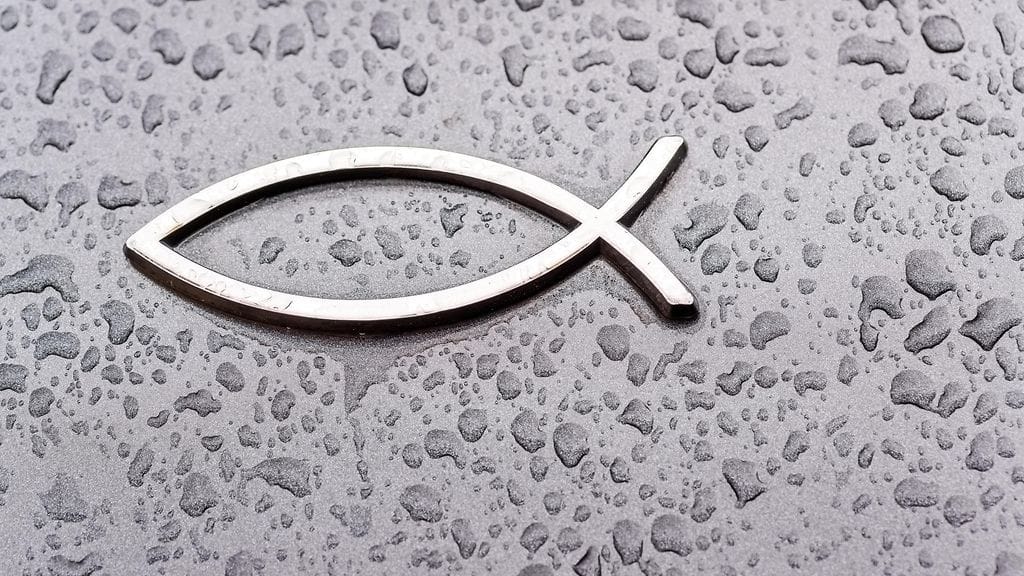 Kala on yksi vanhimmista kristillisistä symboleista. Tämän merkin nimi on iktys.