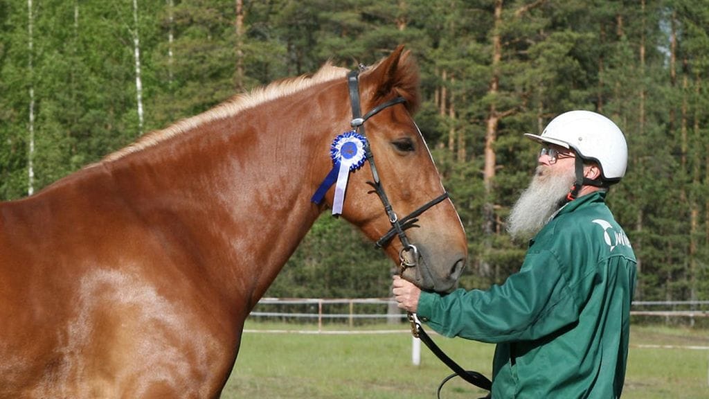 Suvi Kevätön ja Juhani Kruus kantakirjausnäyttelyssä viime keväänä.