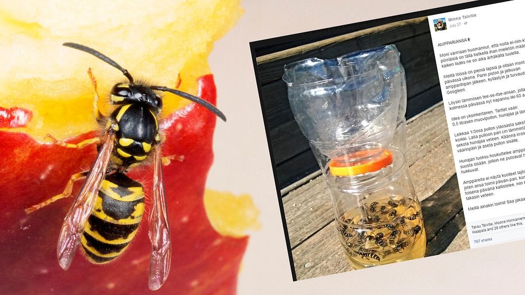 Kuvituskuva, kuvakaappaus Facebookista