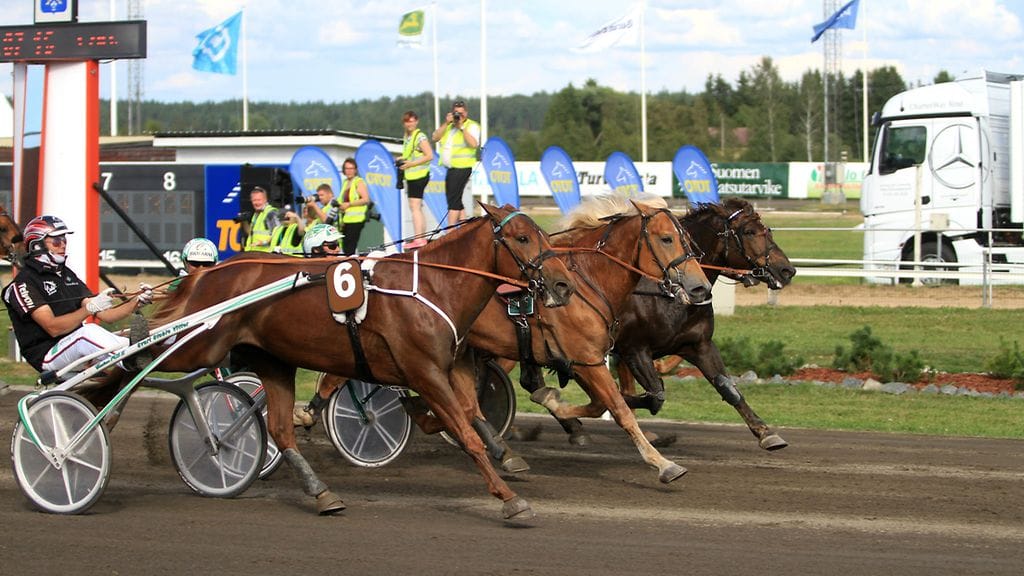 Vitterin viime kausi huipentui ravikuninkuuteen Turussa. Ori palaa radoille lähiviikkoina.