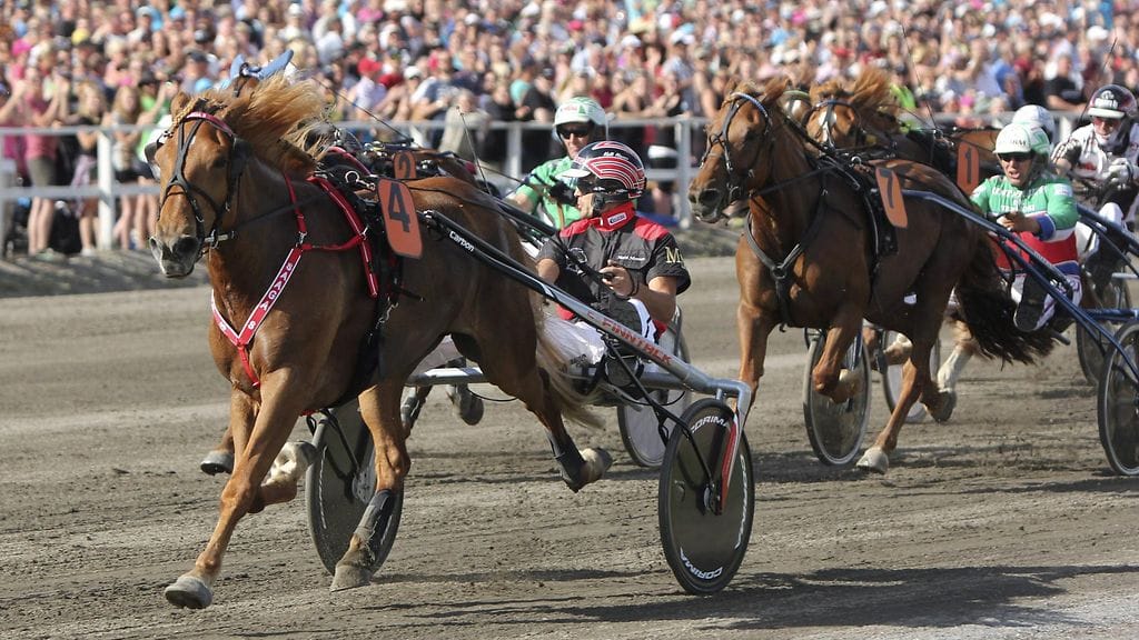 Saaga S ja ohjastaja Matti Nisonen.