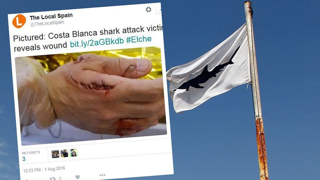 40-vuotias mies menetti hain hyökkäyksessä miltei peukalonsa. Yleensä kyseinen laji ei hyökkää ihmisen kimppuun.