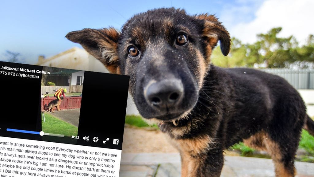 Kuvakaappaus Facebookista.