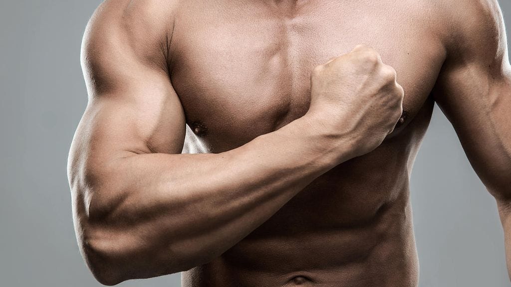 mies, treeni, lihakset