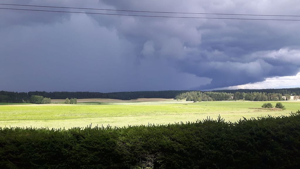 ukkonen kirkkonummi jani aikio