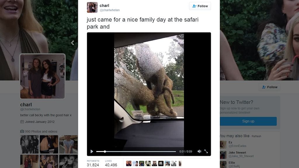 Kuvankaappaus Twitteristä.