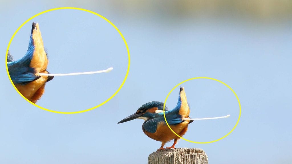 Kuvaaja on saanut kuulla paljon vitsailua ja kommentointia kuvansa suhteen.