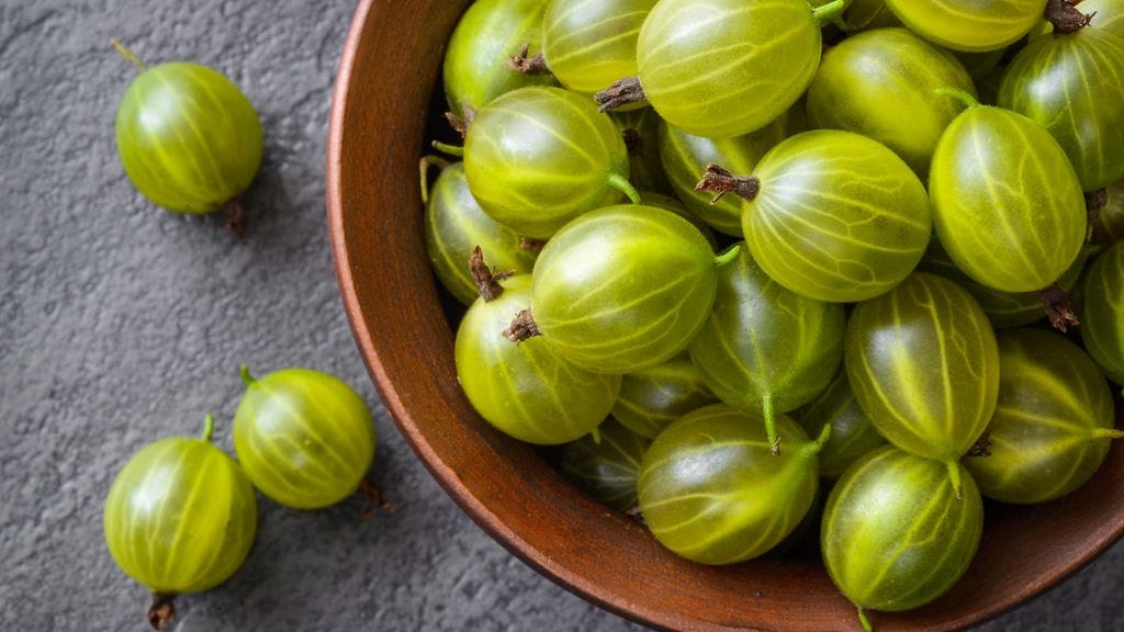 Karviaiset kypsyvät Suomessa loppukesästä.