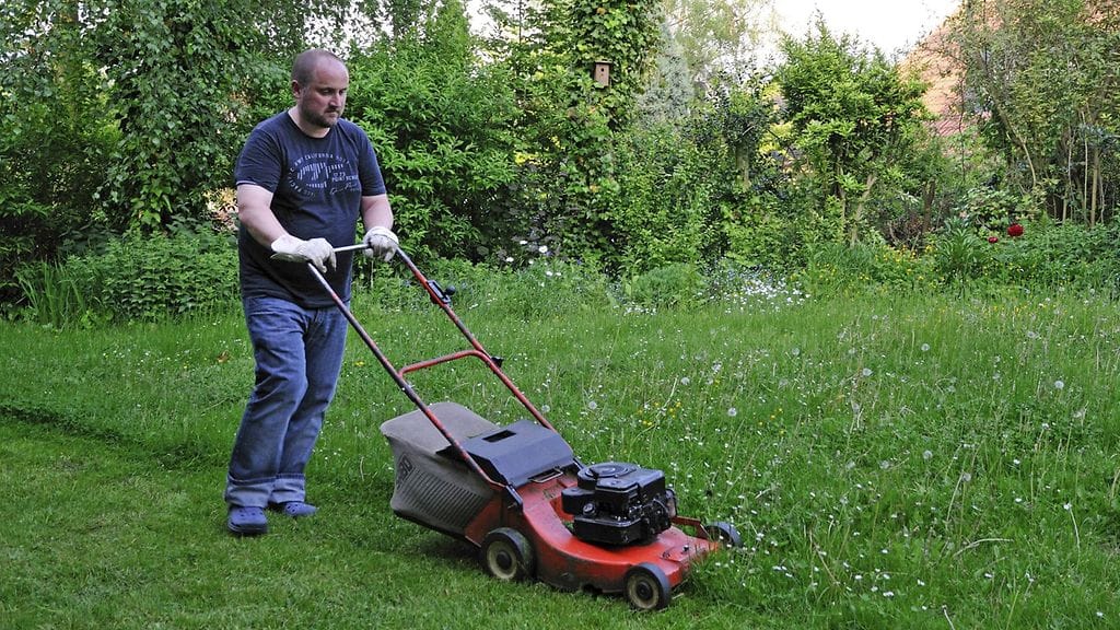 Miehistä lähes puolet ja naisista neljännes piti ruohonleikkuuta miesten hommana. Kuvituskuva.