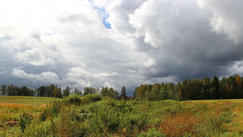 sinikka-kujala-paltaniemi