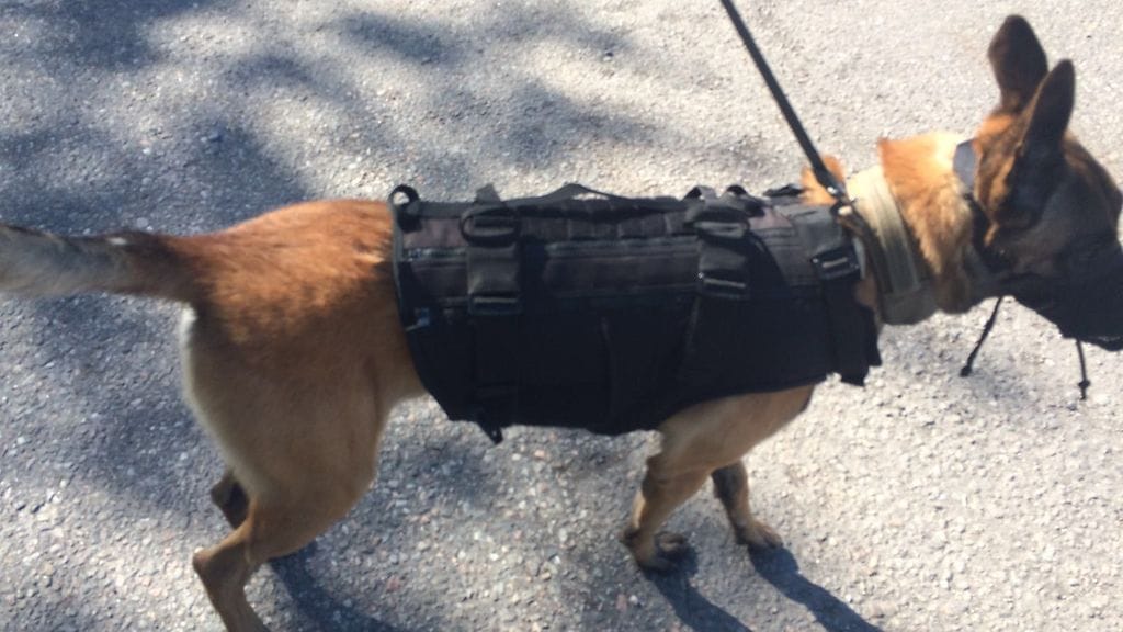 Kuvassa prototyyppimalli uudesta, poliisikoirille kaavaillusta suojaliivistä, joka on huomattavasti vanhoja, 1990-luvulla hankittuja poliisikoirien suojaliivejä kevyempi.