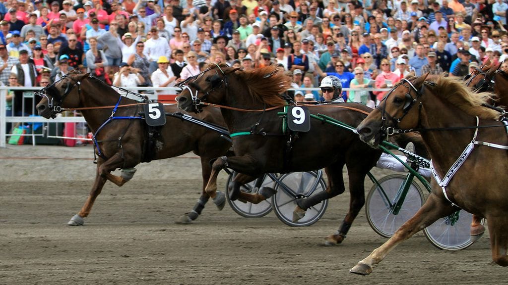 Evartti voitti Pikkukunkun Turun Kuninkuusraviviikonloppuna.