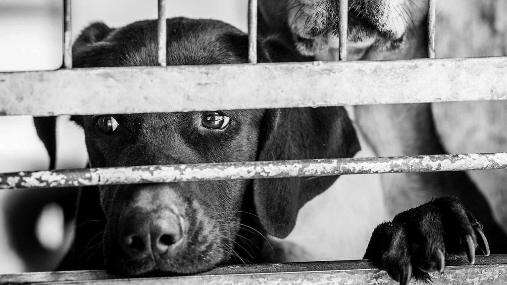 Kun katse kertoo kaiken.