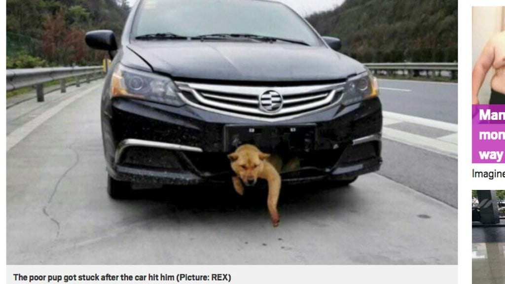 Kuvakaappaus Metro-sivuston jutusta. Kuva: REX