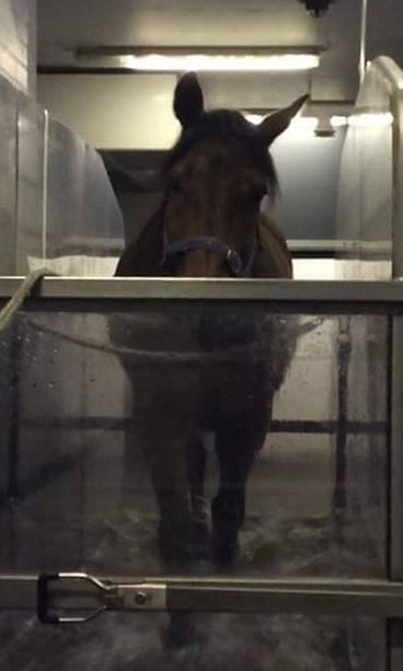 Air Base vesikävelyssä