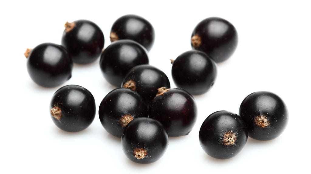 Mustaviinimarja on terveellinen herkku.