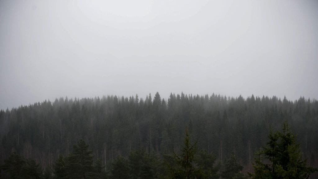 Jyväskylän Kangasvuoren alueen siluetti.