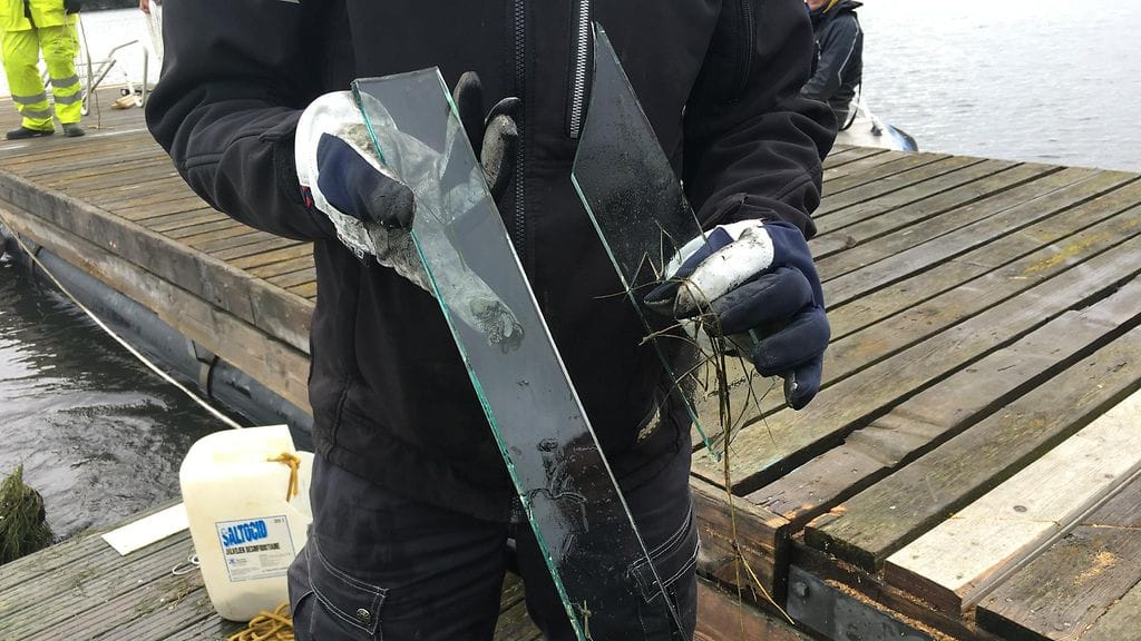 töölönlahti löytö2