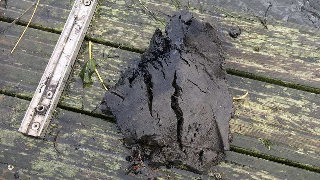 töölönlahti löytö 5