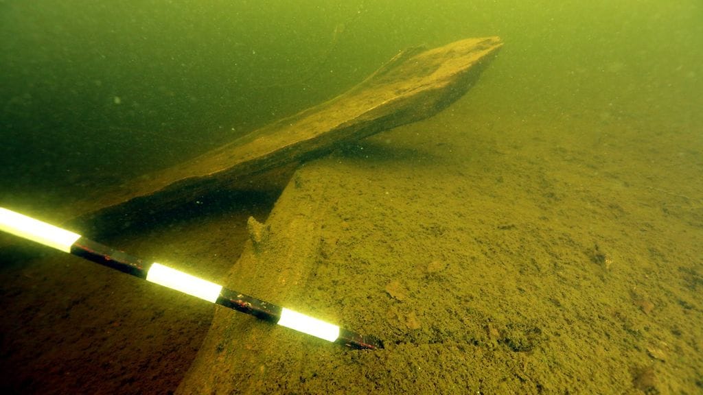 RichardEller_Copyright2016_401A8977cclowresnc