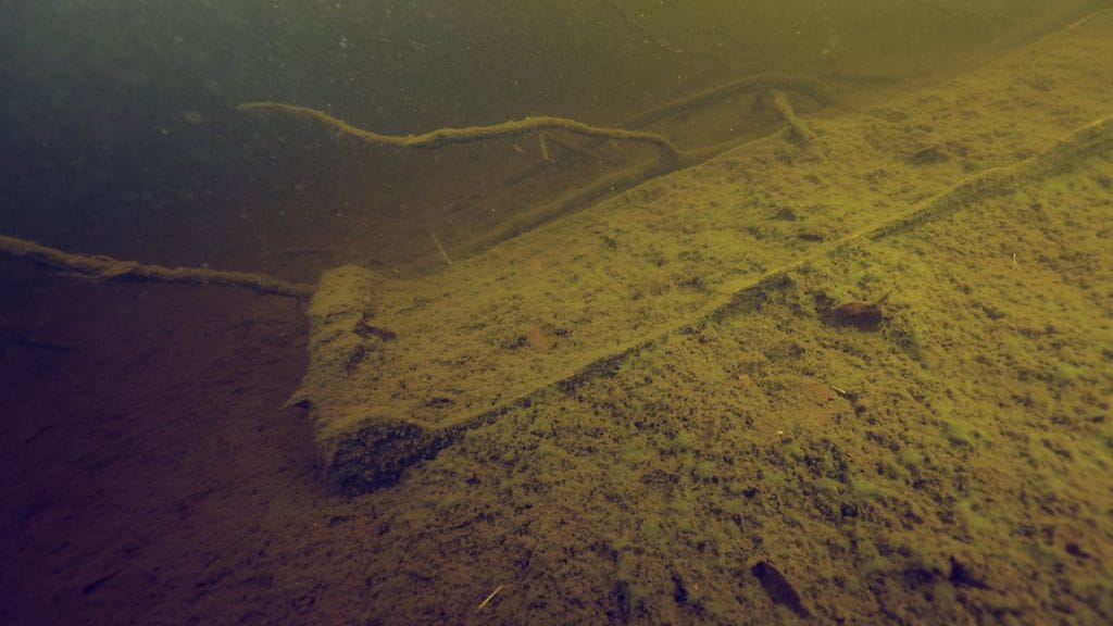 RichardEller_Copyright2016_401A9025cclowresnc