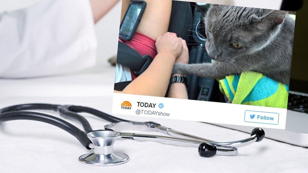 Kissa piteli kiinni omistajiaansa kädestä viimeisellä automatkallaan.