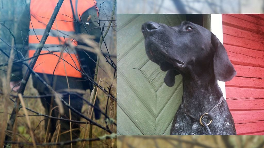 10-vuotias Felix oli perheensä mukana niin metsästysreissuilla kuin hiihtoretkilläkin.