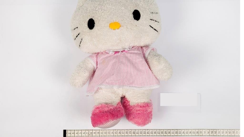 Käteistä rahaa kuljetettiin muun muassa Hello Kitty -lelun sisällä.