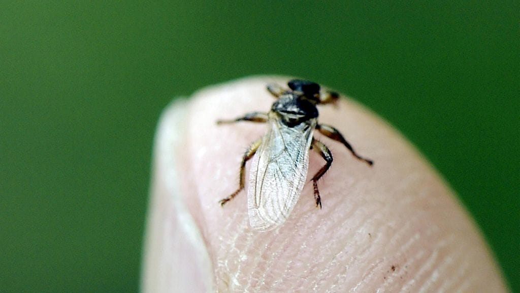 35841131 Viikon uutiskuvat 34