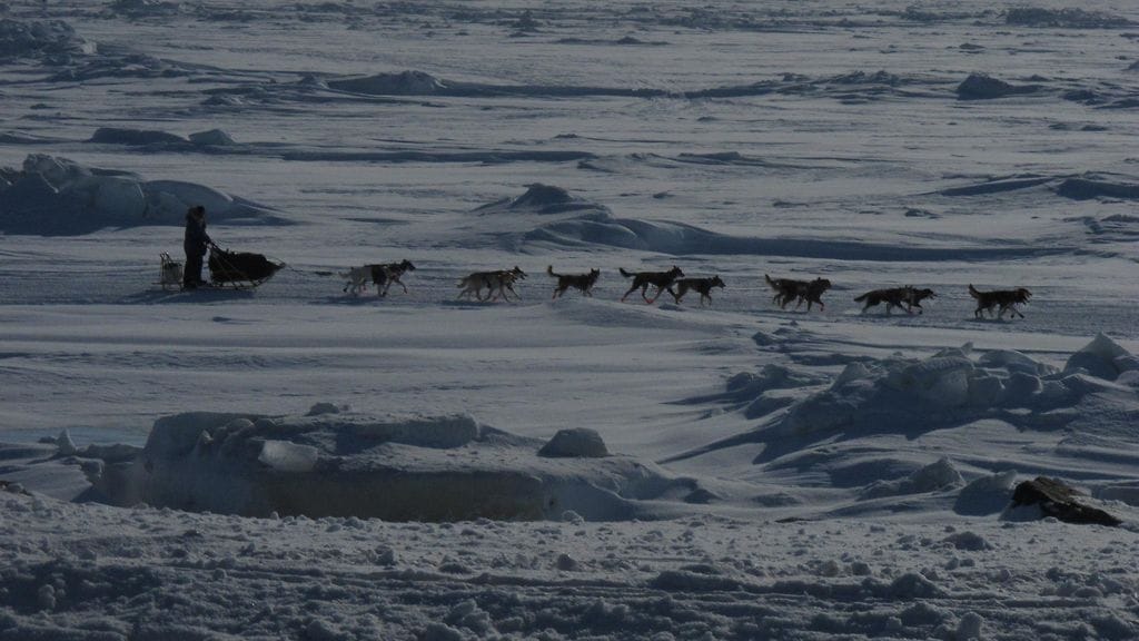 Iditarod