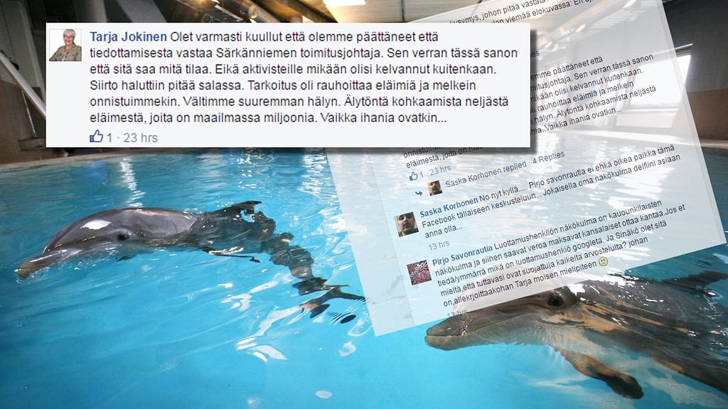 Tarja Jokinen kommentoi sunnuntaina Särkänniemen delfiinien siirrosta aiheutunutta kohua Facebookissa.