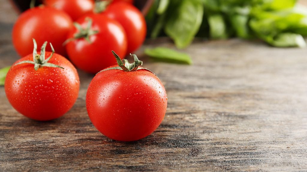 tomaatti