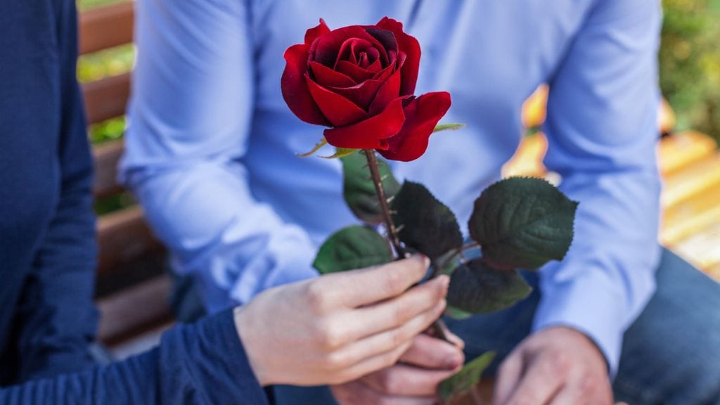 Erään äidin mielestä suosittu tositelevisio-ohjelma ei sovi lapsille.