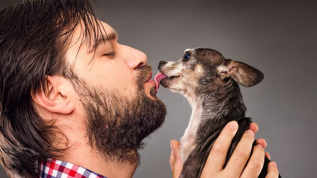 Kumpaa pussaisit mieluummin: miestä vai koiraa?