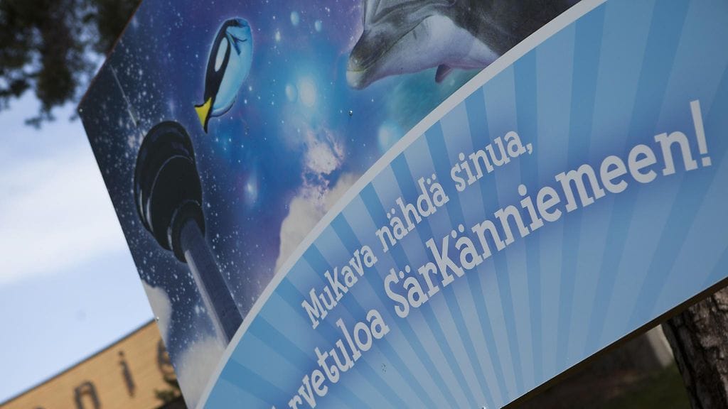 Särkänniemi delfinaario delfiinit