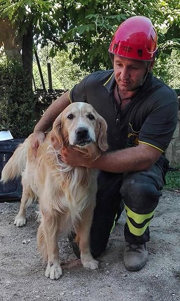 Romeo-koira maanjäristys Italia 2