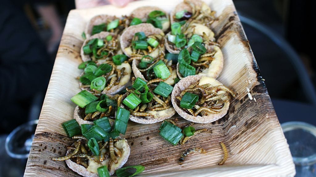 Hyönteisten uskotaan olevan tulevaisuuden superruokaa.