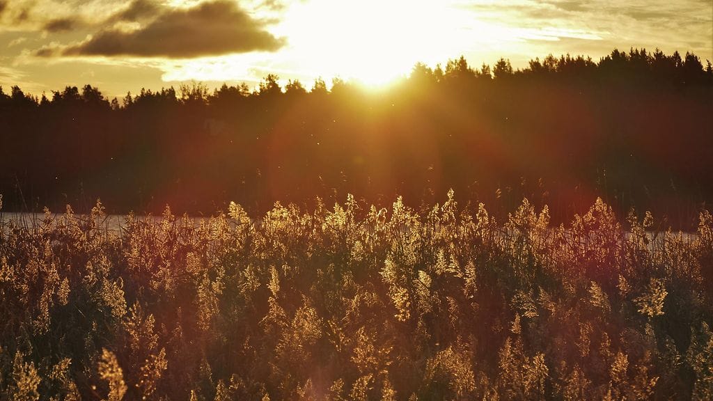 Syysaurinko voi lämmittää ilman vielä hellelukemiin, mutta ei enää pitkään.