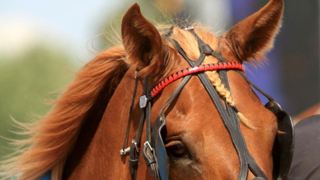 Ellin Sisu sivusi voimassaolevaa Suomen ennätystä jo voittamassaan Oulu Express -karsintalähdössä.