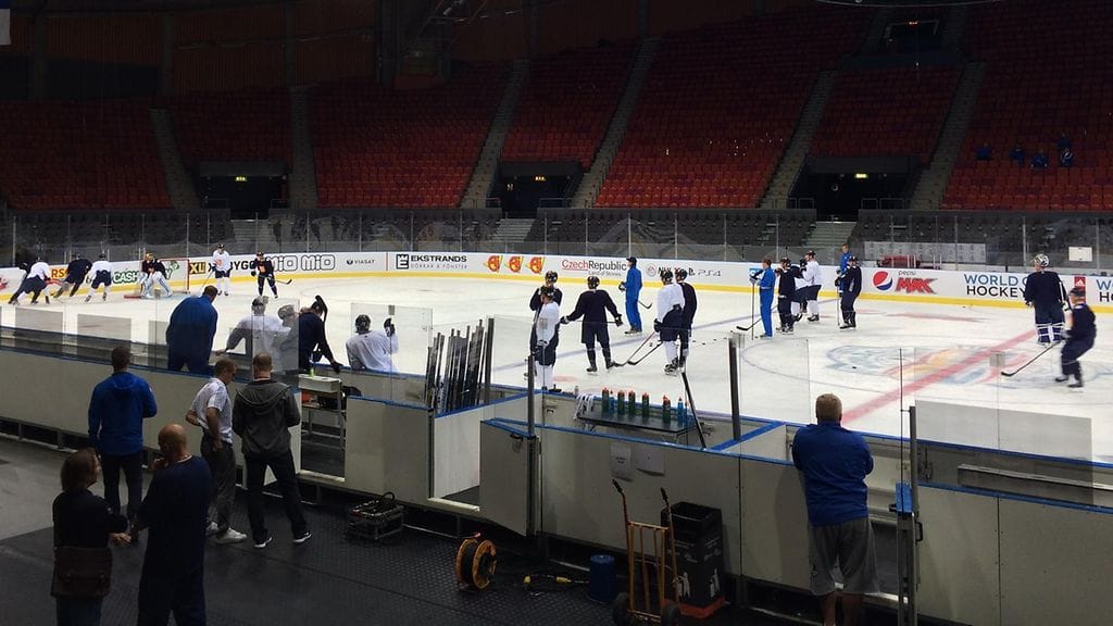 Leijonat treeneissä Göteborgissa