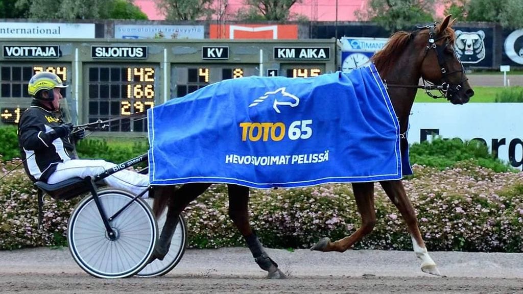 Red Fingerin vakio-ohjastaja on Juha Utala, jonka kanssa tamma pääsi juhlimaan kotiradallaan Vermossa Toto65-voittoa.