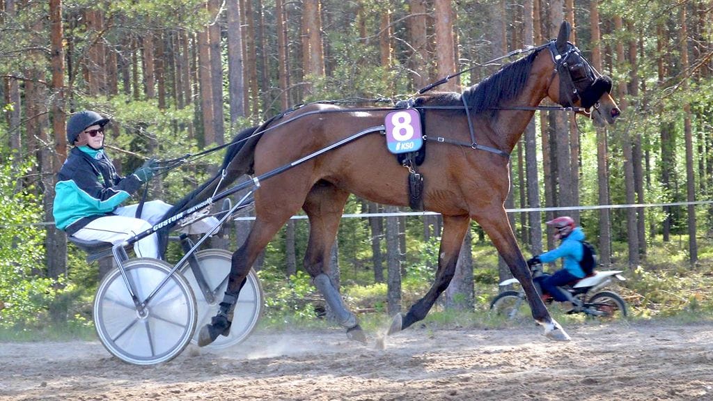 Victory Zet ja Heli Taipale