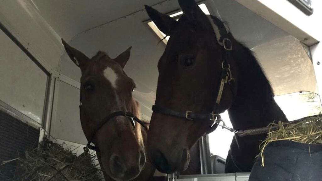 Vinkan Hovi ja Victory Zet