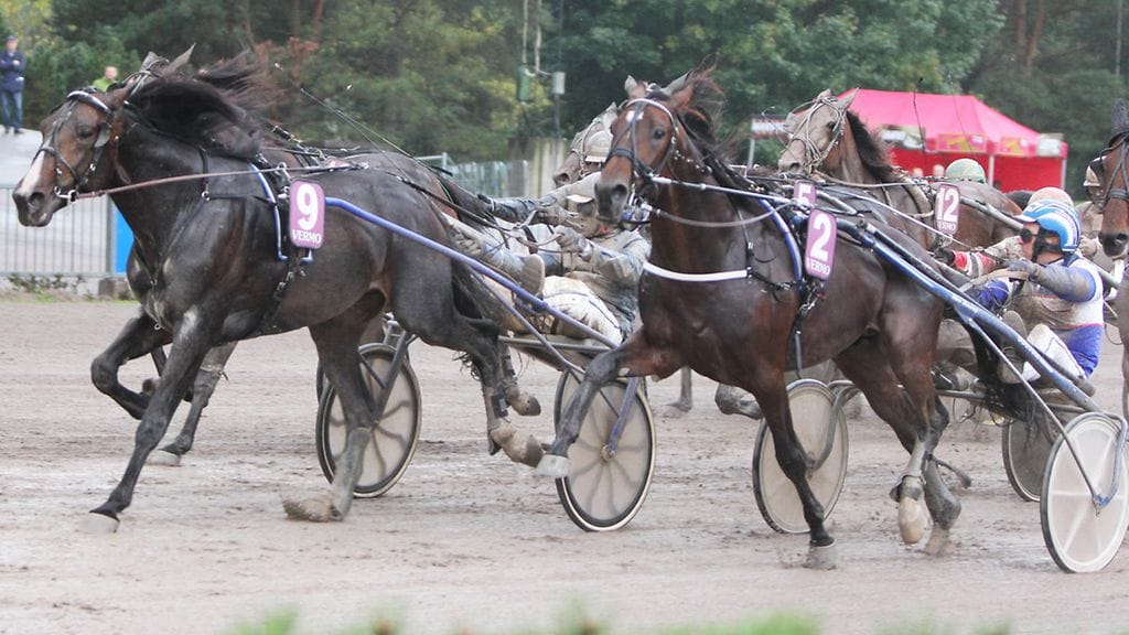 Express Duo (oik.) johti joukkoja Suomen mestaruuslähdössä kaksi viikkoa sitten, mutta Jonesy vyöryi rinnalta ohitse.