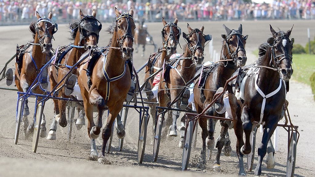 Tänä torstaina raviväen katseet kohdistuvat Lahden sijasta Ruotsiin ja Bollnäsiin. Kuvituskuva.