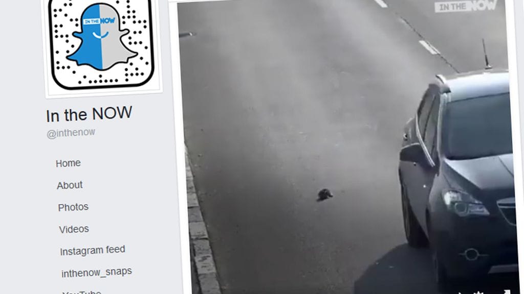 Autoilijoiden onnistui väistää jähmettynyttä kissanpentua.