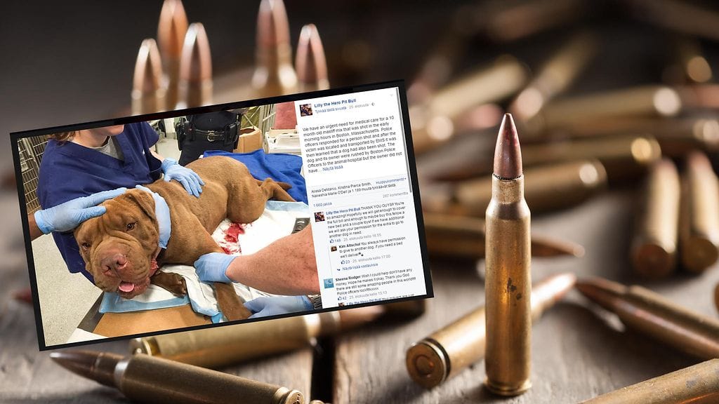 Kuvituskuva, kuvakaappaus Facebookista