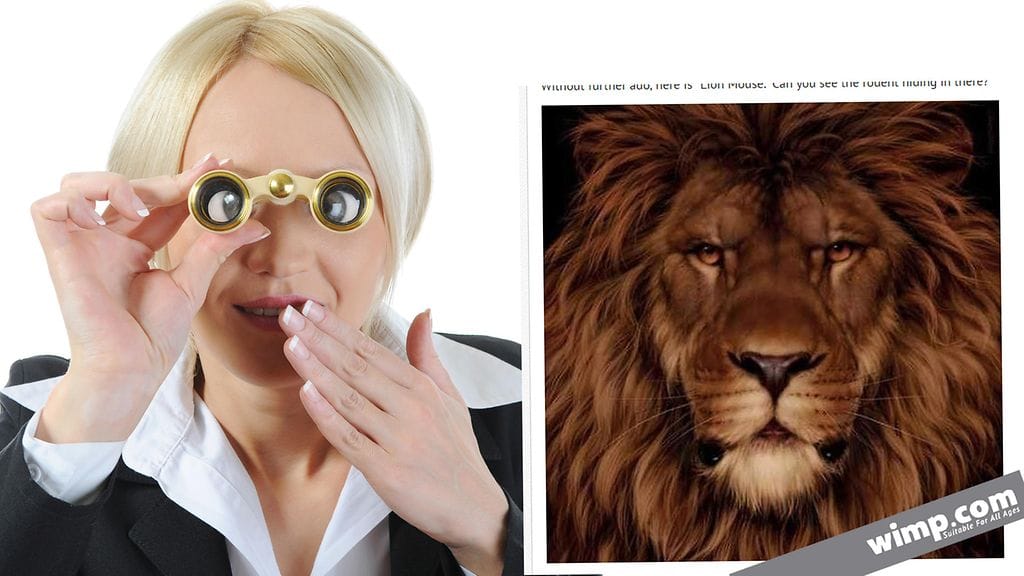 Joillakin sivustoilla etsittävää eläintä kuvataan hiireksi, sillä illuusion nimi on "lion mouse", suom. leijona hiiri.