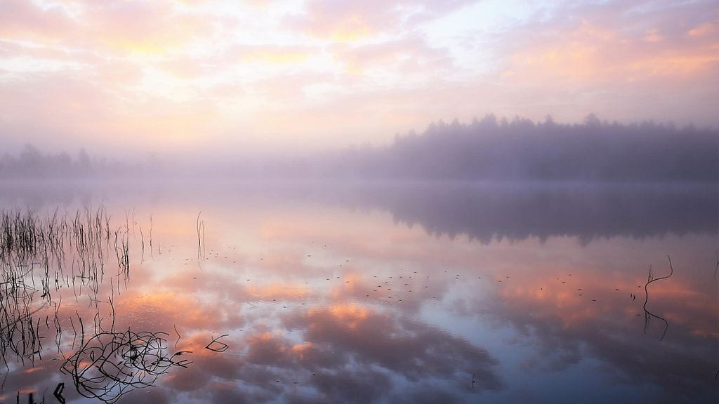 Ensi viikon alkuun osuu selvästi aiempaa kylmempi jakso, kertoo MTV:n meteorologi Liisa Rintaniemi. Kuva: Pekka Hatunen, Vaala
